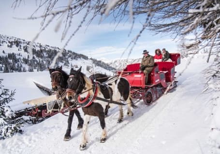 Horse and Carriage img